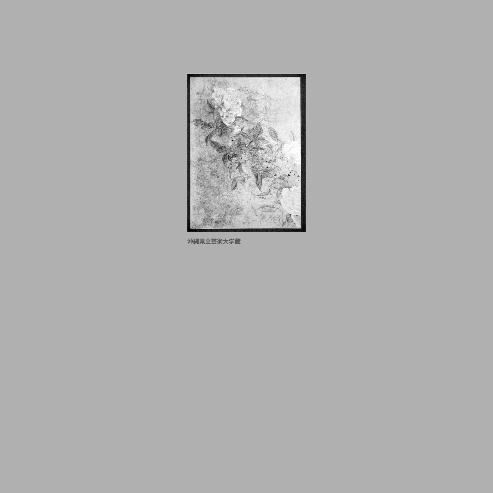 532　闘鶏花房之図　部分（薔薇）　　佐渡山安健筆