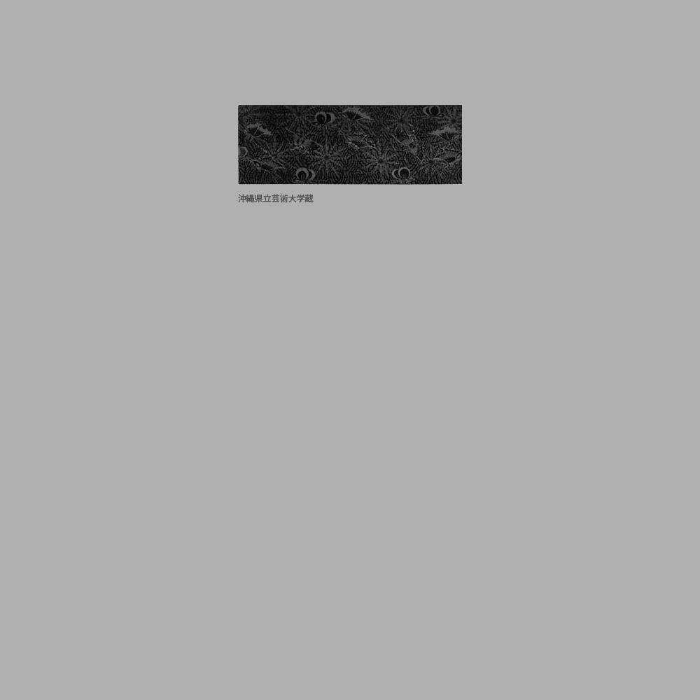 984　蝶模様裂（仮）